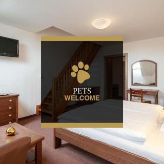 Pytloun Wellness Hotel Hasištejn | Místo, Erzgebirge | Galerie - 6