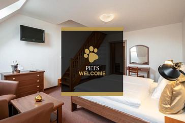 Pytloun Wellness Hotel Hasištejn | Místo, Krušné hory | Fotogalerie 6