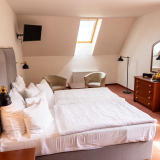Pytloun Wellness Hotel Hasištejn | Místo, Erzgebirge | Galerie - 21