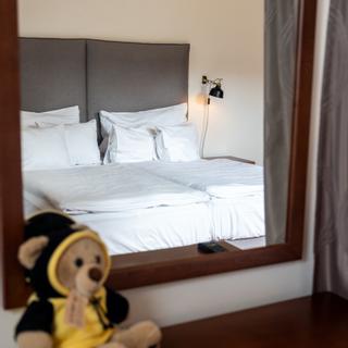 Pytloun Wellness Hotel Hasištejn | Místo, Erzgebirge | Galerie - 24