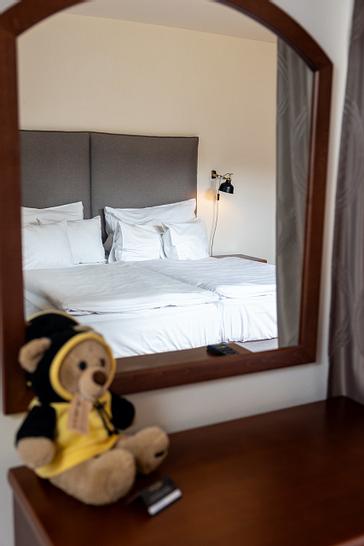 Pytloun Wellness Hotel Hasištejn | Místo, Krušné hory | Fotogalerie 24